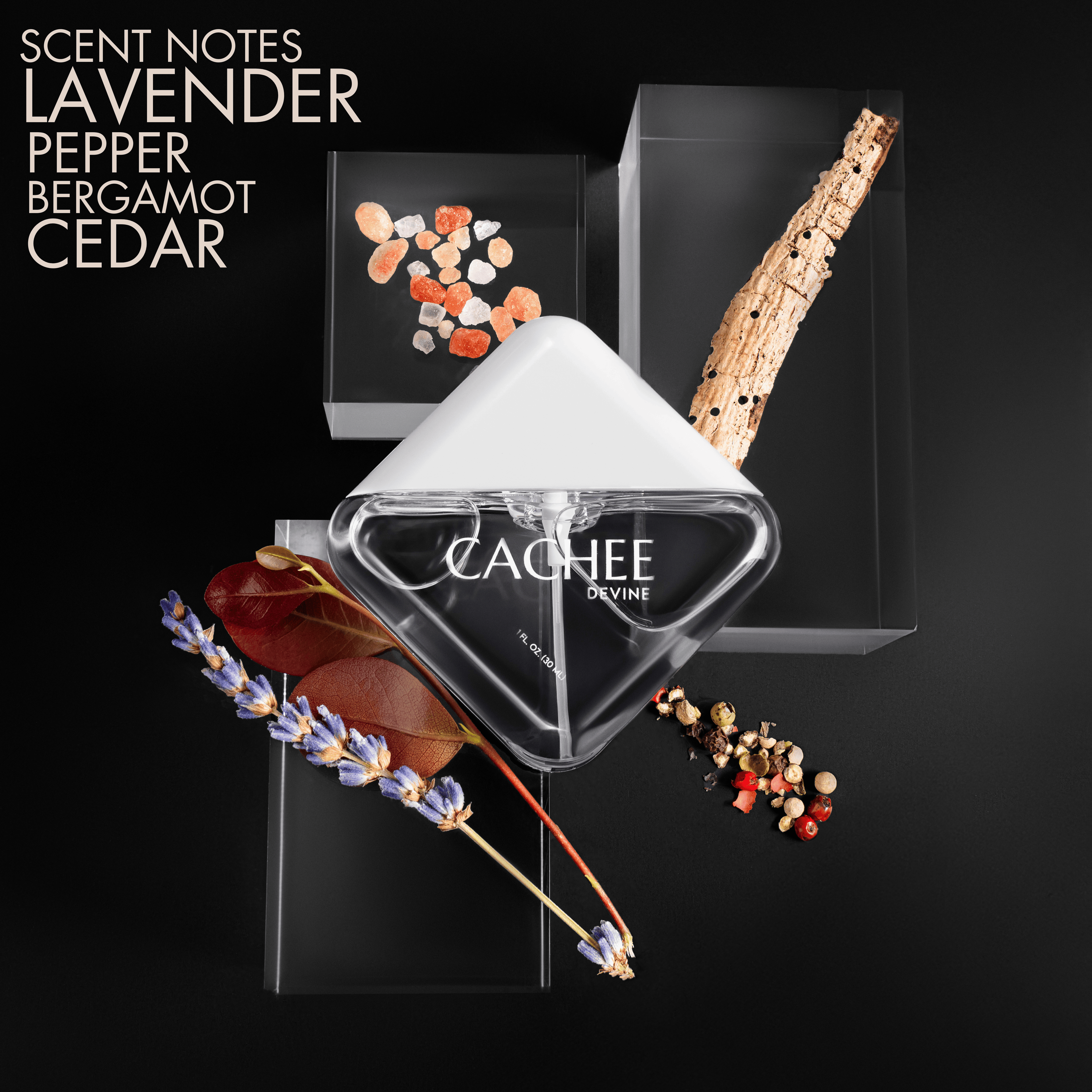 ESSENCE BUNDLE (3-PACK)